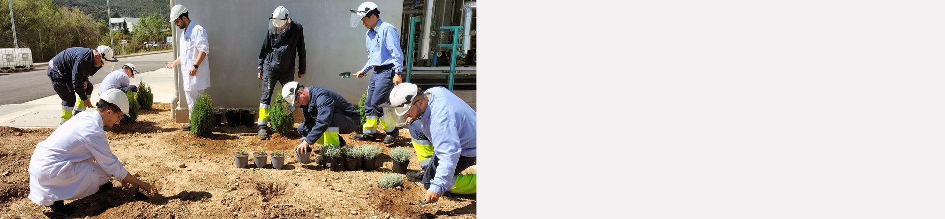 Human Capital & Society