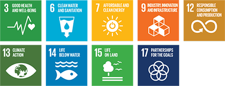 Contribution to the SDGs Contribution to the SDGs