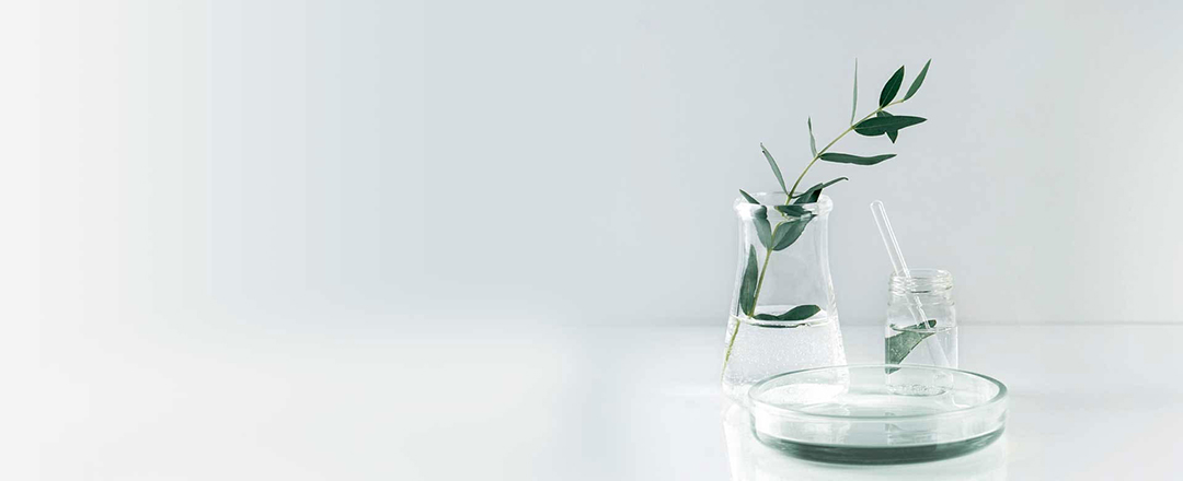 Non-Financial Report 2024