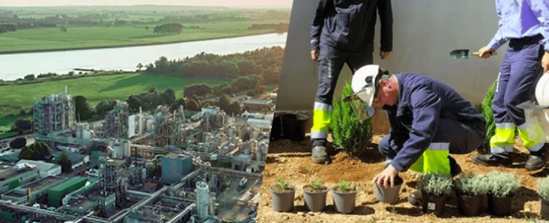 Milestones and progress