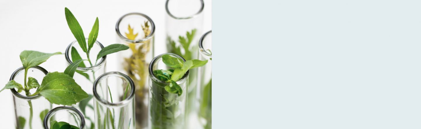 Eco solutions Eco solutions