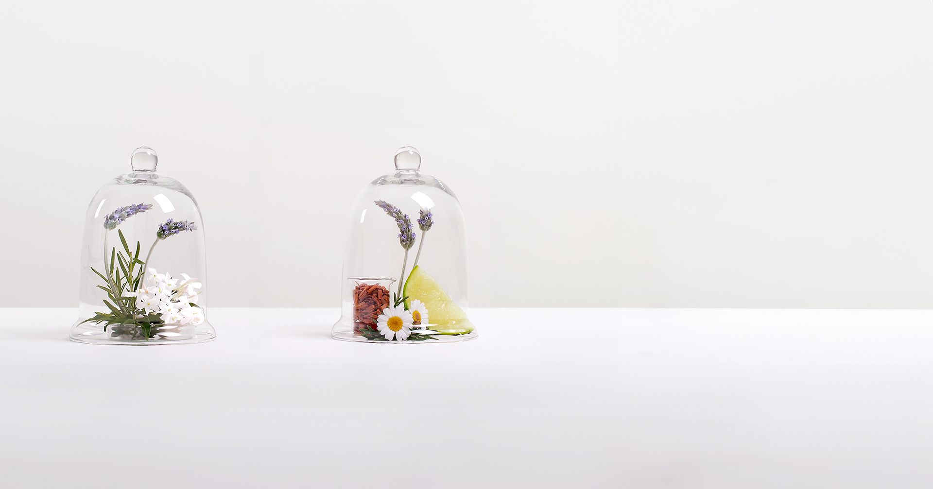 Fragrance Collections