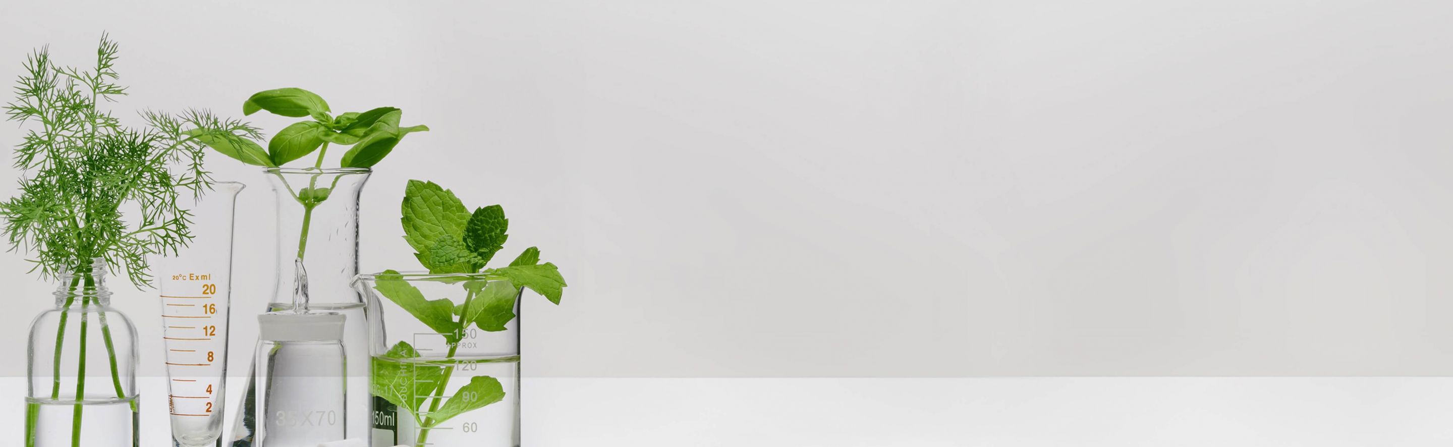 Aroma Chemicals Manufacturer Kao Chemicals EU