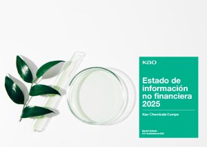 Non-Financial Report 2025