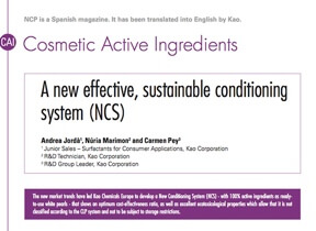A new effective, sustainable conditioning system (NCS) A new effective, sustainable conditioning system (NCS)