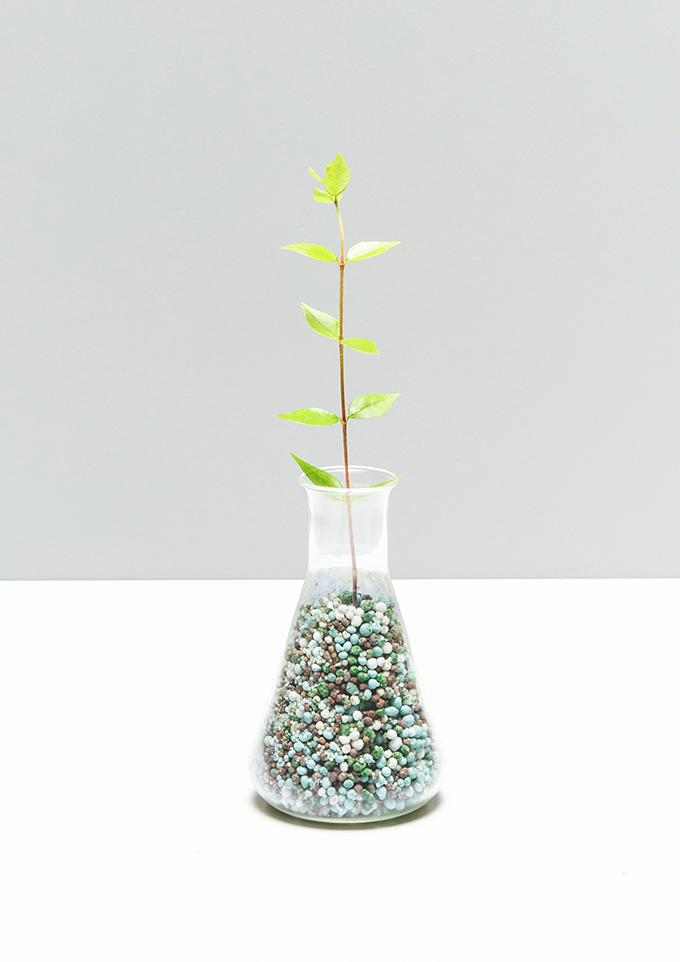 Quad Chemical Corporation and Kao Chemicals Europe reach distribution agreement for high performance fertilizer coating additives for the US market.