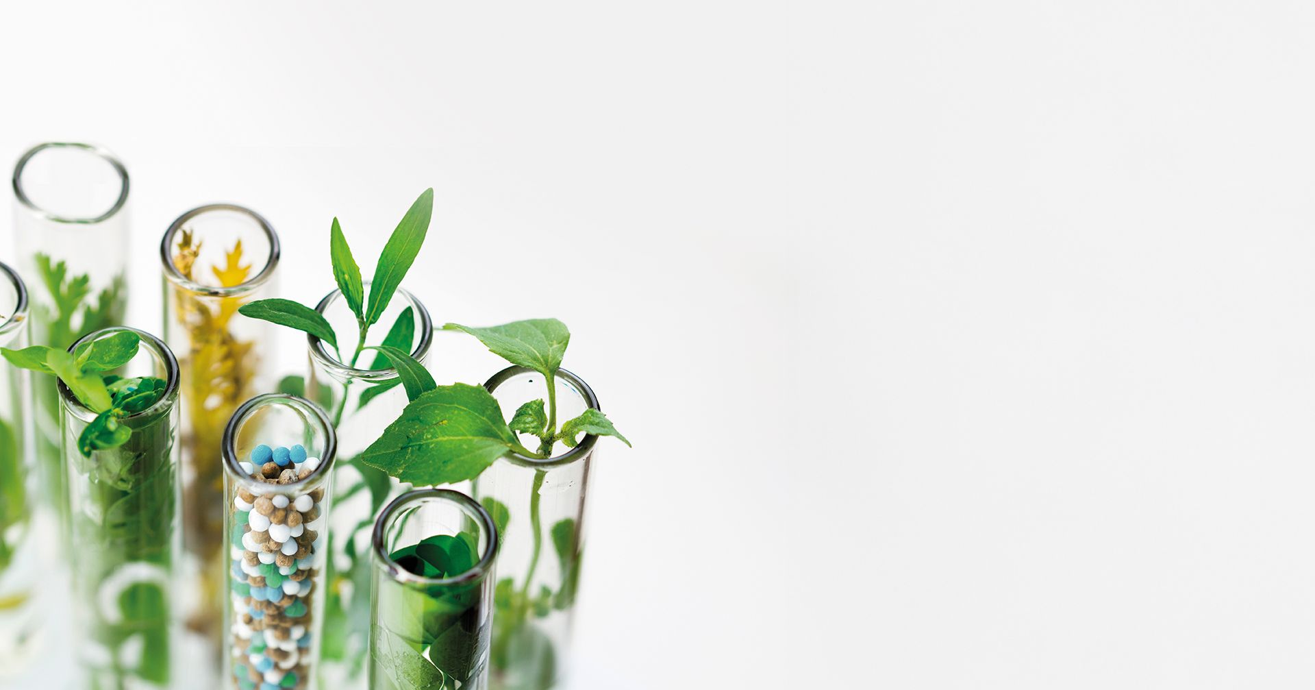 Eco Solutions for Fertilizers