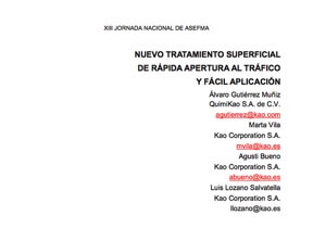 Nuevo tratamiento superficial de rápida apertura al tráfico y fácil aplicación Nuevo tratamiento superficial de rápida apertura al tráfico y fácil aplicación