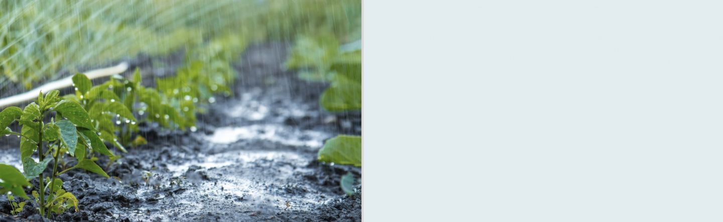 Corrosion Inhibitors Corrosion Inhibitors